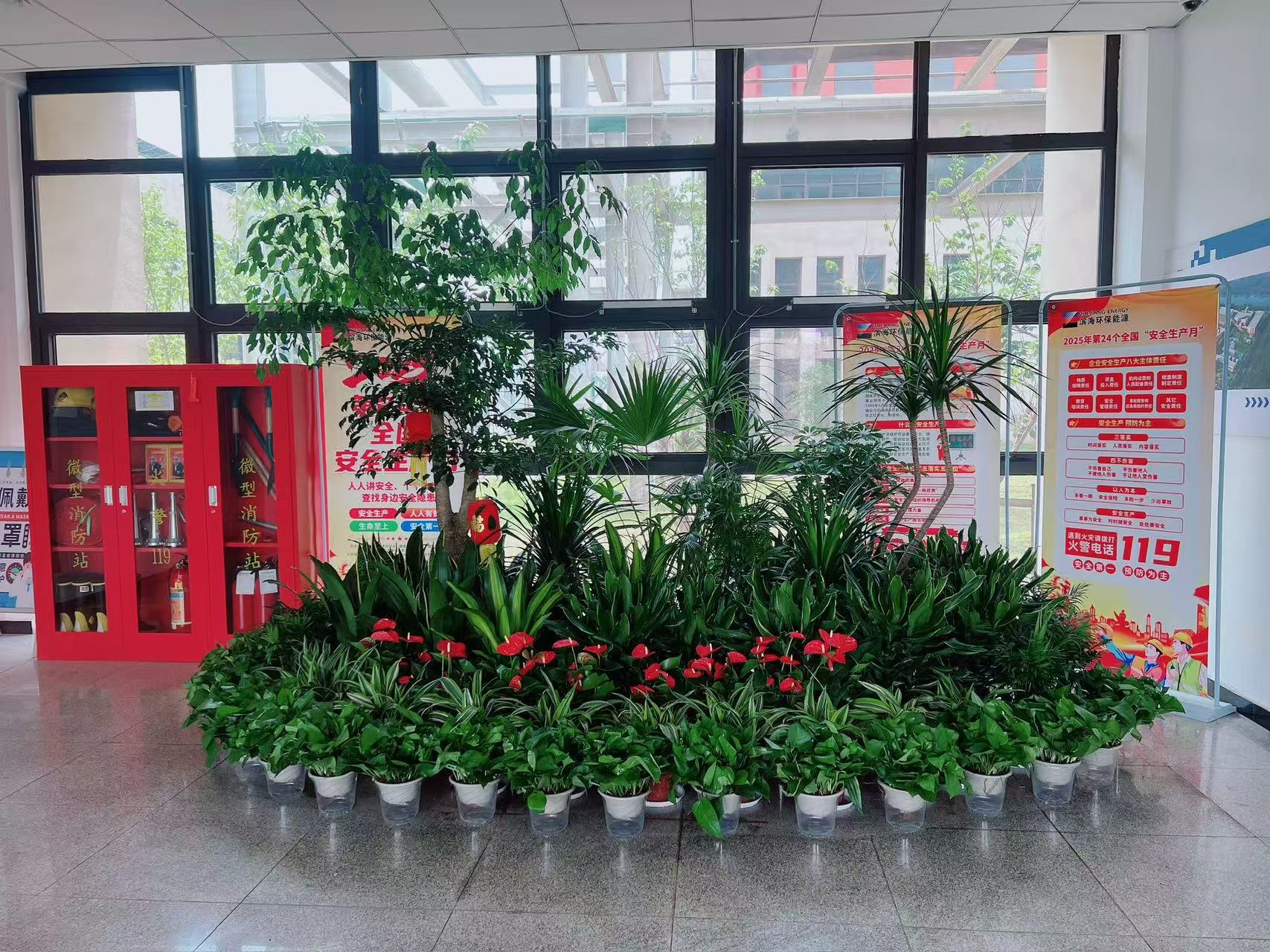 宁波奉化专业植物出租，开启清新办公生活